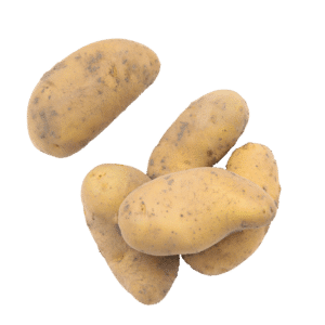 Annabelle aardappelen (10 kilo)