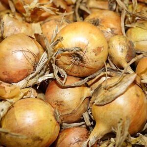 uien 1 kg ( bio )