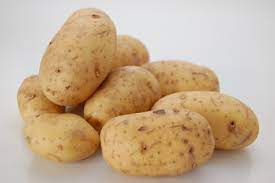 Frieslanders ( 1 kg ) ( nieuwe oogst )