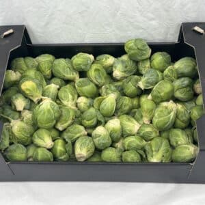 Spruiten 500 gram handgeplukt